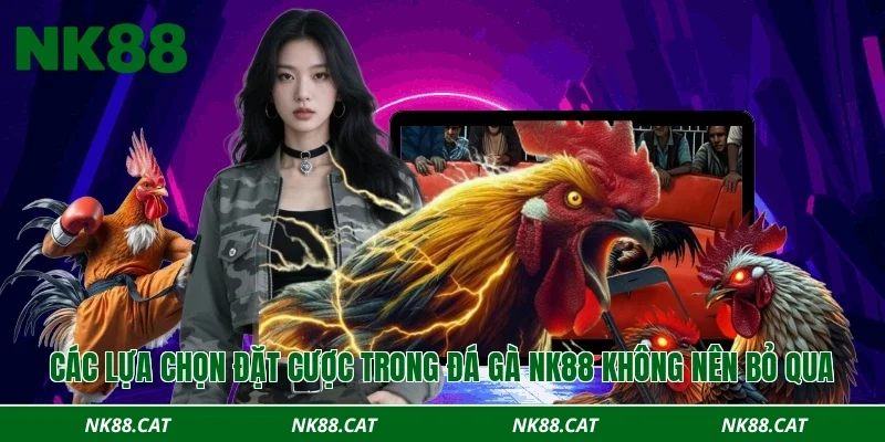 Các lựa chọn đặt cược trong đá gà NK88 không nên bỏ qua