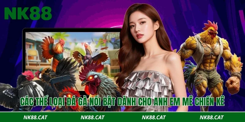 Các thể loại đá gà nổi bật dành cho anh em mê chiến kê