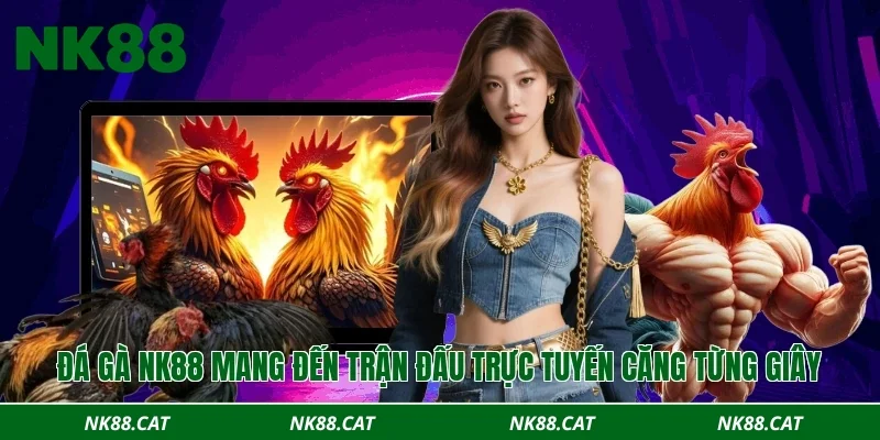 Đá gà NK88 mang đến trận đấu trực tuyến căng từng giây