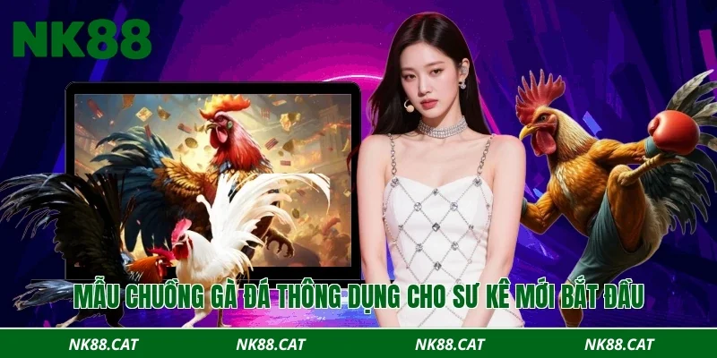 Mẫu chuồng gà đá thông dụng cho sư kê mới bắt đầu